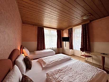 Dreibettzimmer-Economy-Ensuite Dusche-Stadtblick