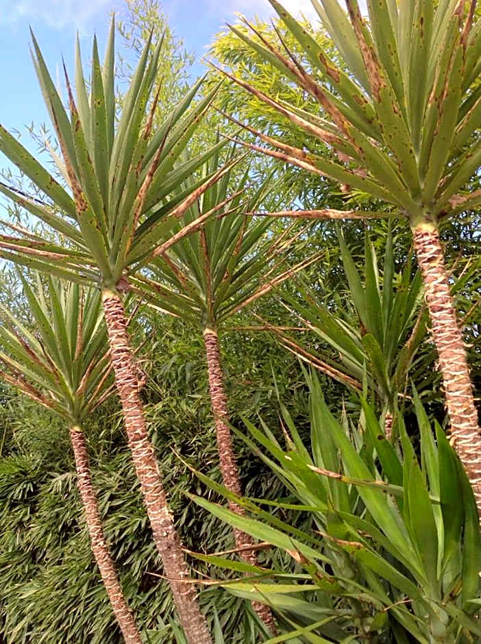 Bastide Nomade - guest house