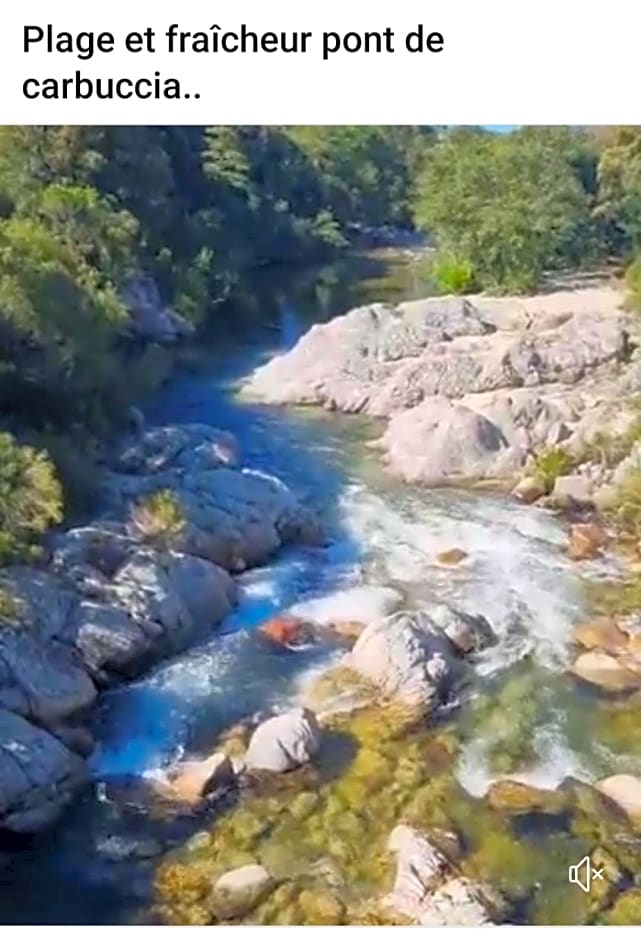 La roulotte au coeur du maquis