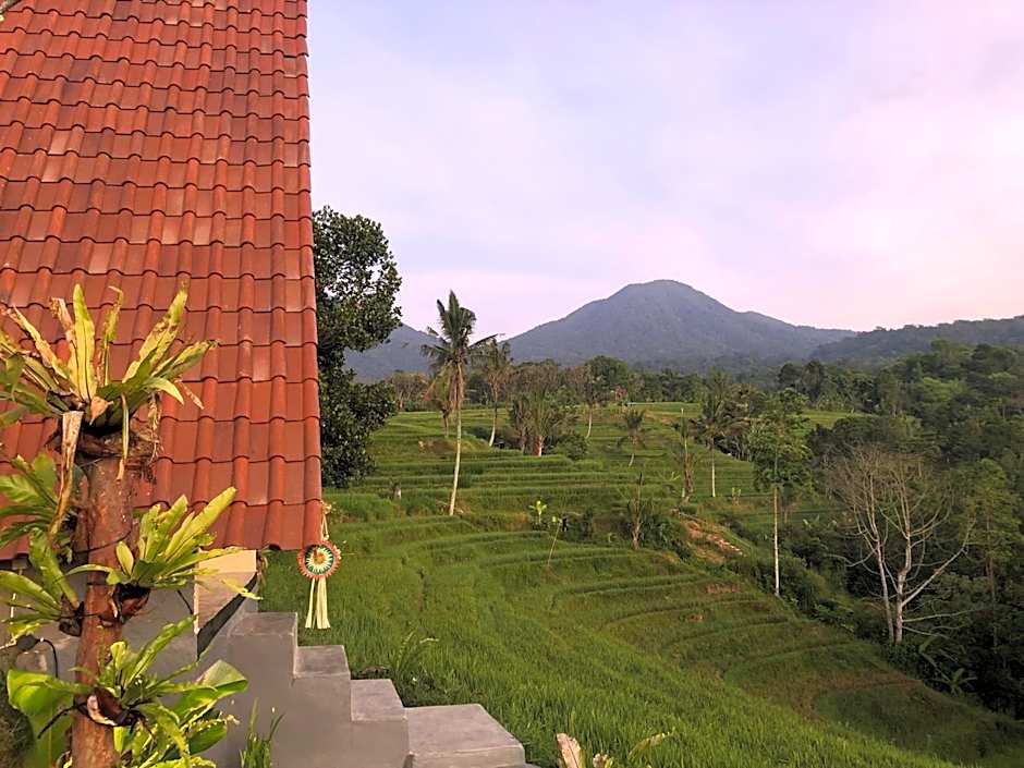 Padi Bali Jatiluwih