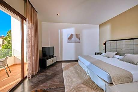 Deluxe Double or Twin Room with Balcony
