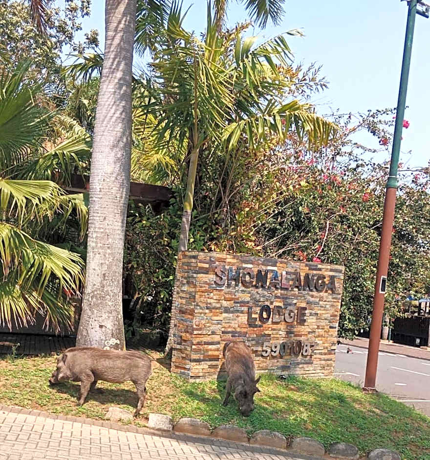 Shonalanga Lodge