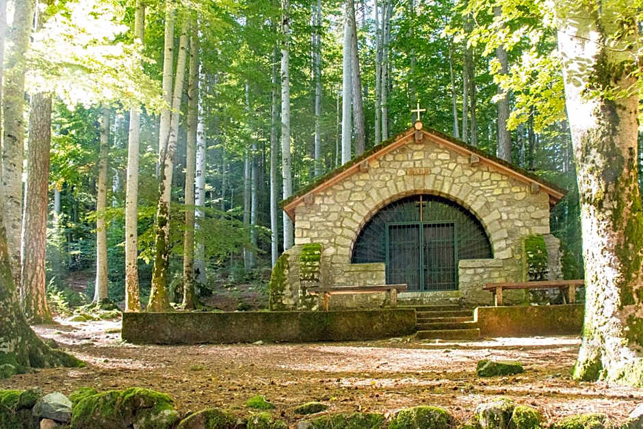 Hôtel Restaurant U Castellu Vizzavona