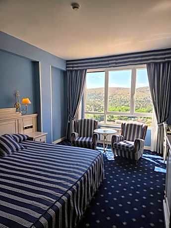 Deluxe Double or Twin Room with River View