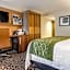 Comfort Inn Raleigh Midtown