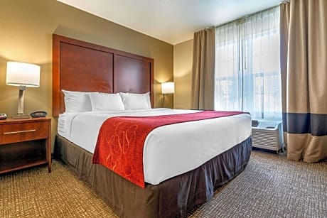 King Suite - Accessible/Non-Smoking