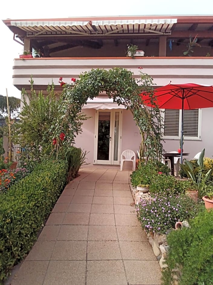 B&B Kazakova