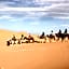 Merzouga Quiet apart &camels trecking