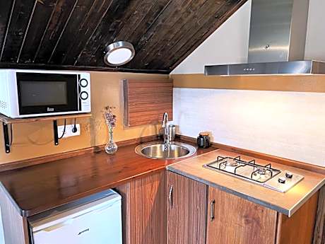 Apartment with Mountain View