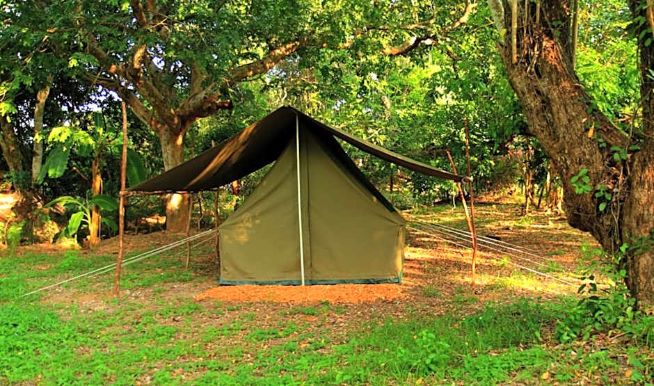 Distant Relatives Ecolodge & Backpackers