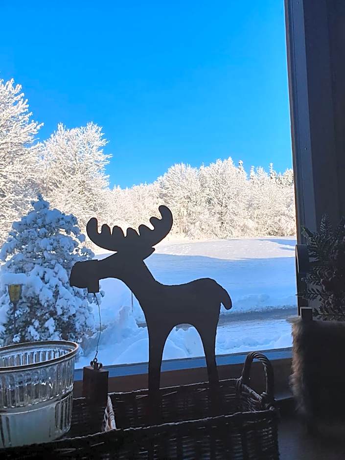 Landhaus Maria Grün B&B