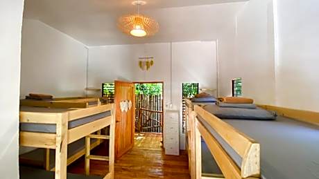 Bed in 8-Bed Mixed Dormitory Room