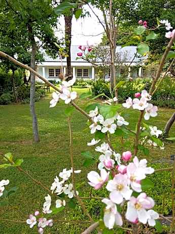 Suite with Garden View