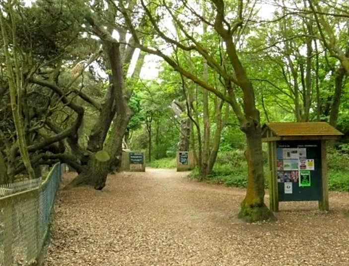 The Roecliffe, Holiday mid-lodge, Shorefield Country Park