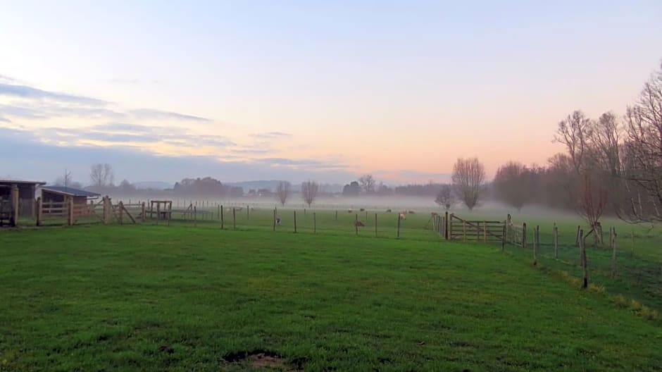 B&B Hoeve de Schapenkop