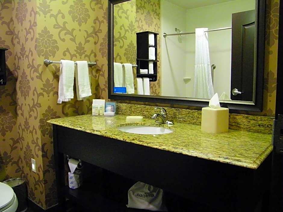 Hampton Inn By Hilton And Suites Hope
