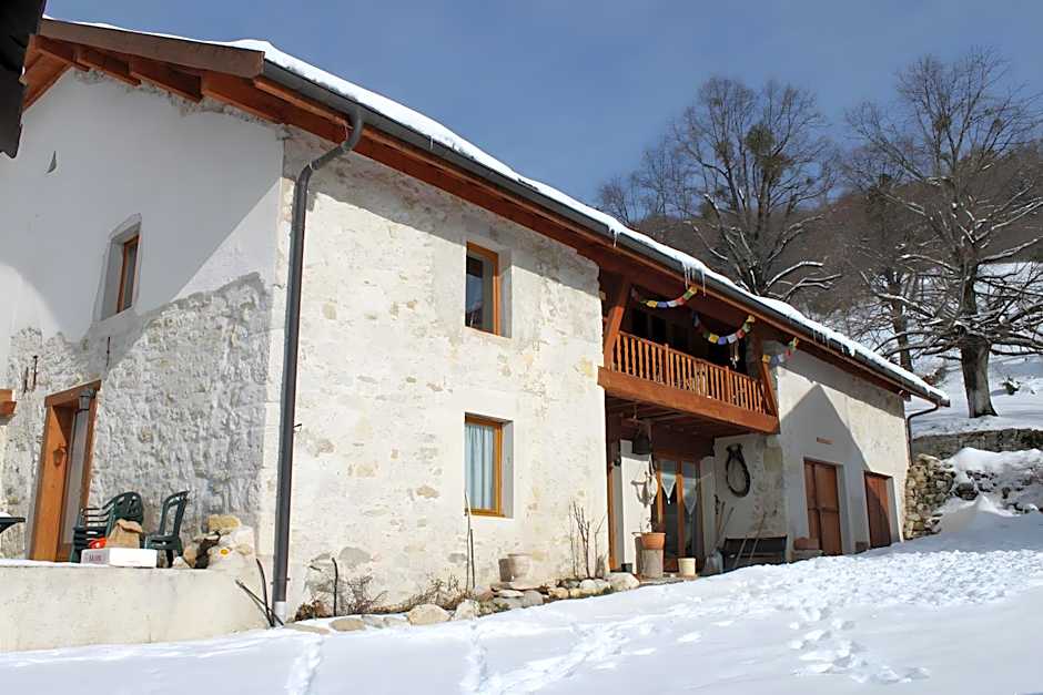 Chez Louve Bleue