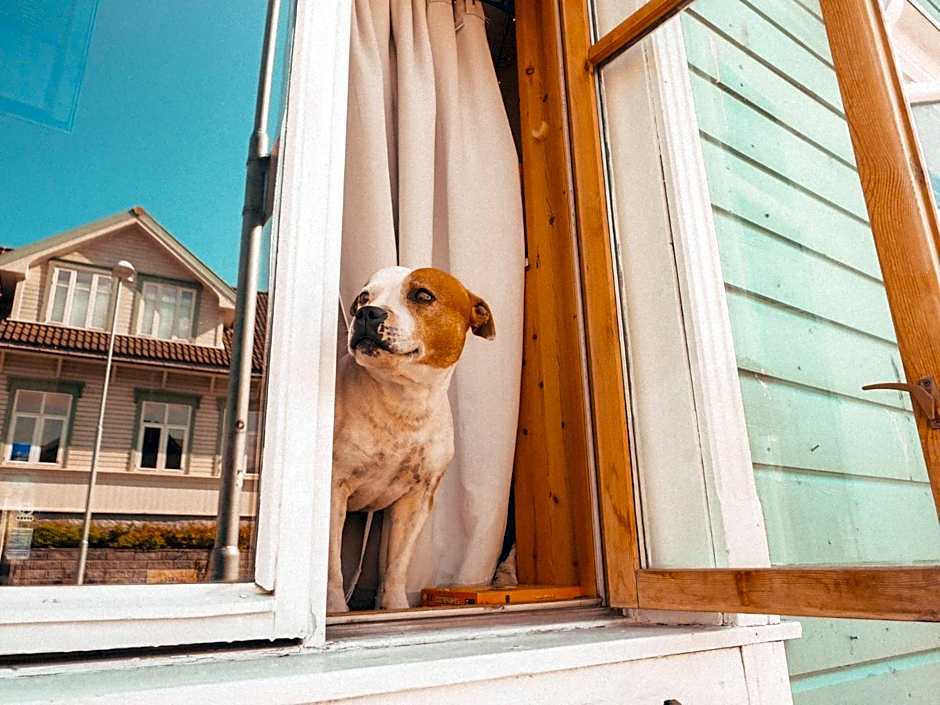 Tromso Activities Hostel