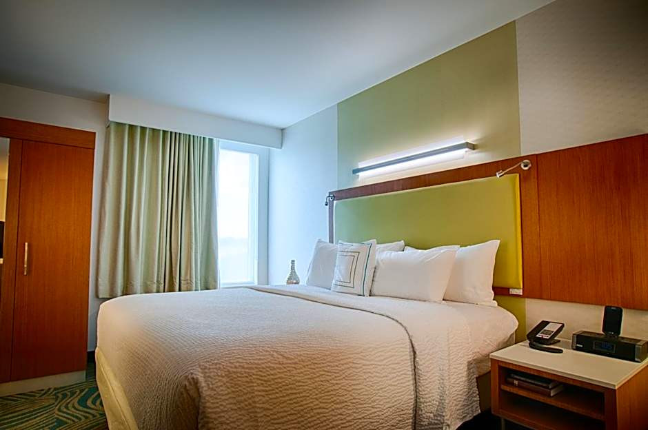 SpringHill Suites by Marriott Canton