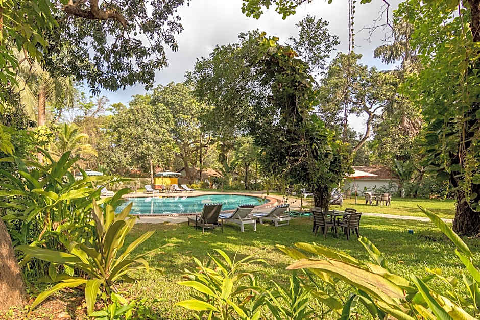 Granpas Inn - Hotel Bougainvillea