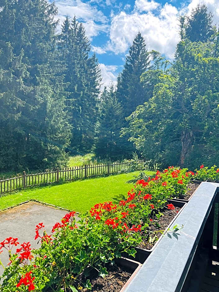 Hotel und Berggasthof Tanzbuche