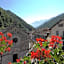 Hotel Edelweiss