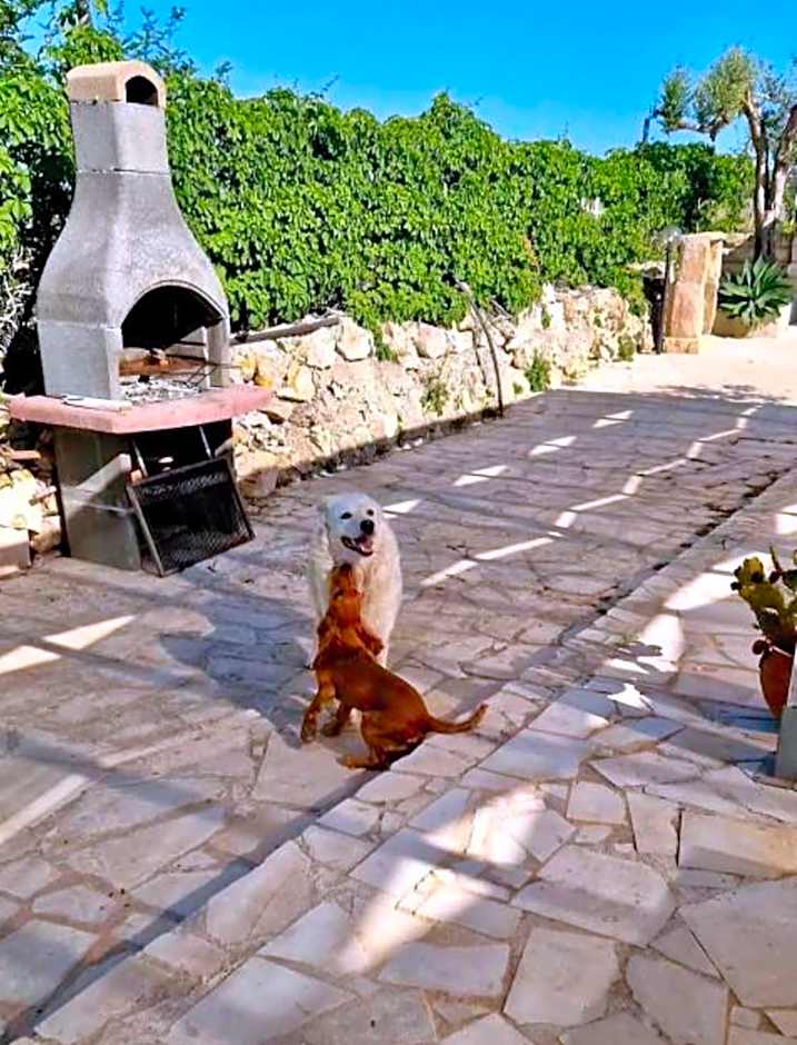 Cozzo Spadaro B&B OnlyRooms