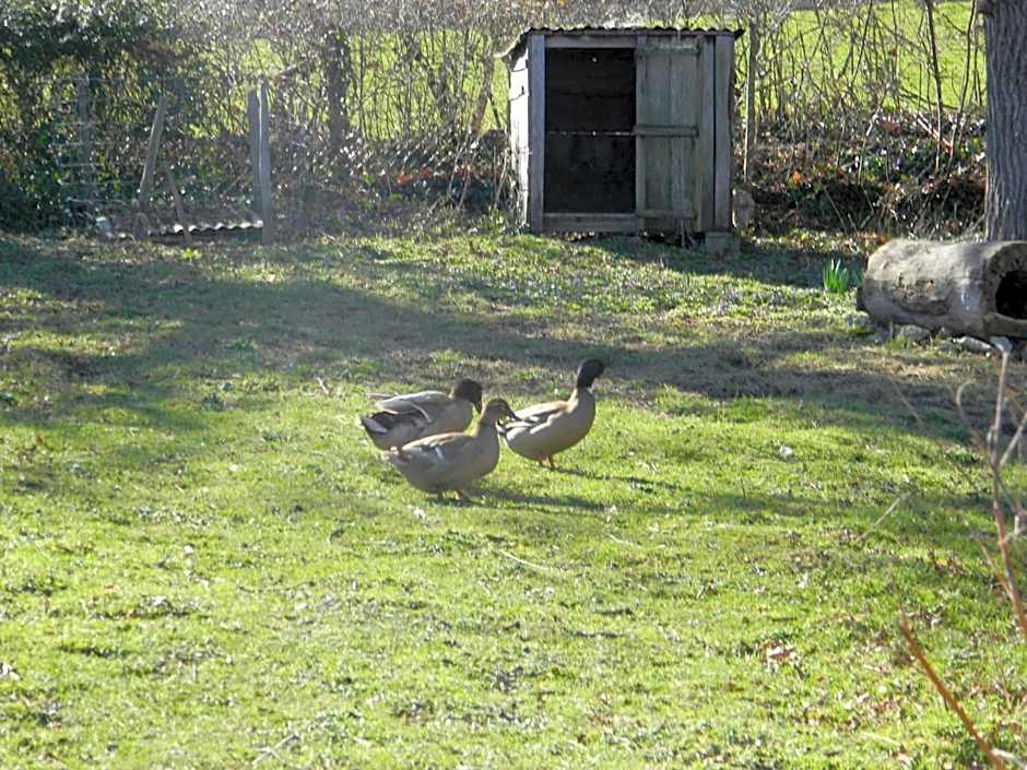 Meublés de tourisme La Reserve