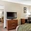 Comfort Inn - Pocono Mountain