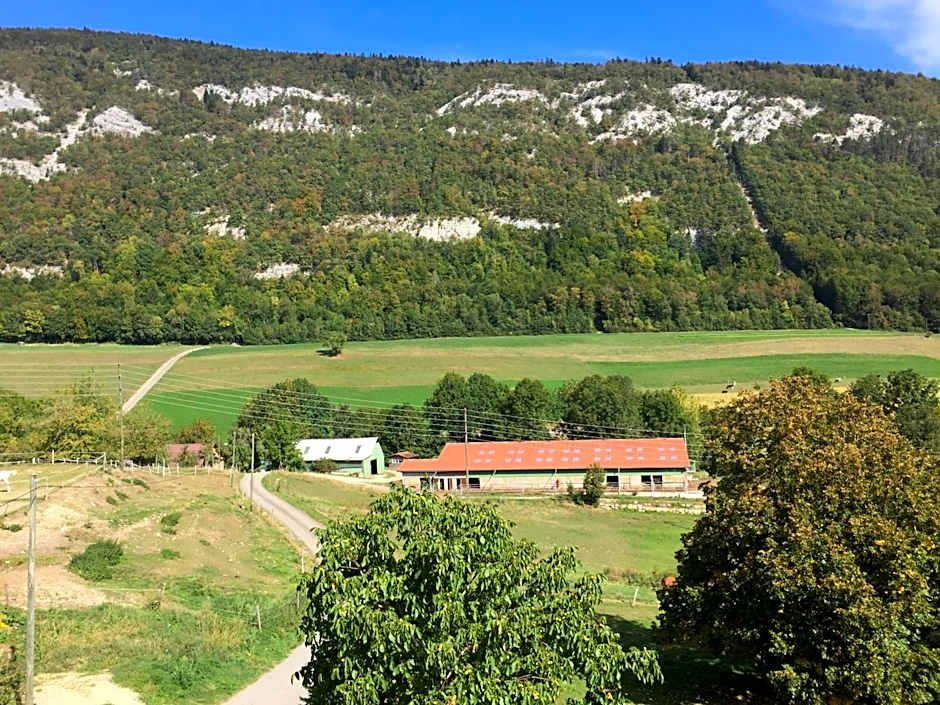 Chez Dodo 2534 Orvin Le Foncet