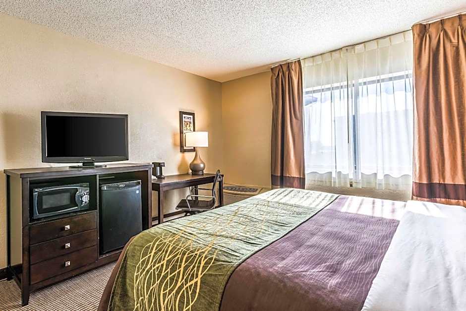 Comfort Inn Downtown