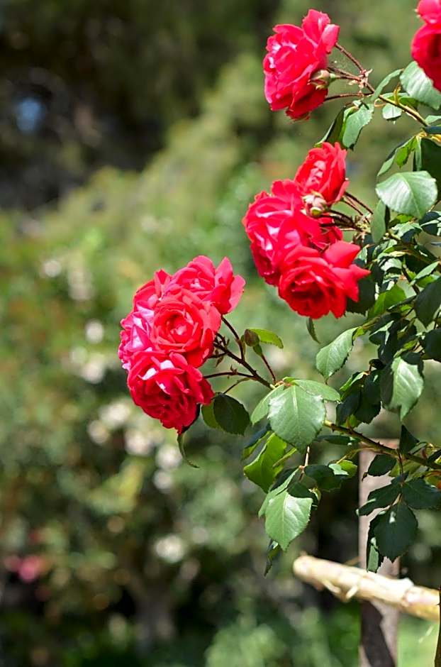 Villa Teti - Sicilia