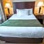 Comfort Suites University Area