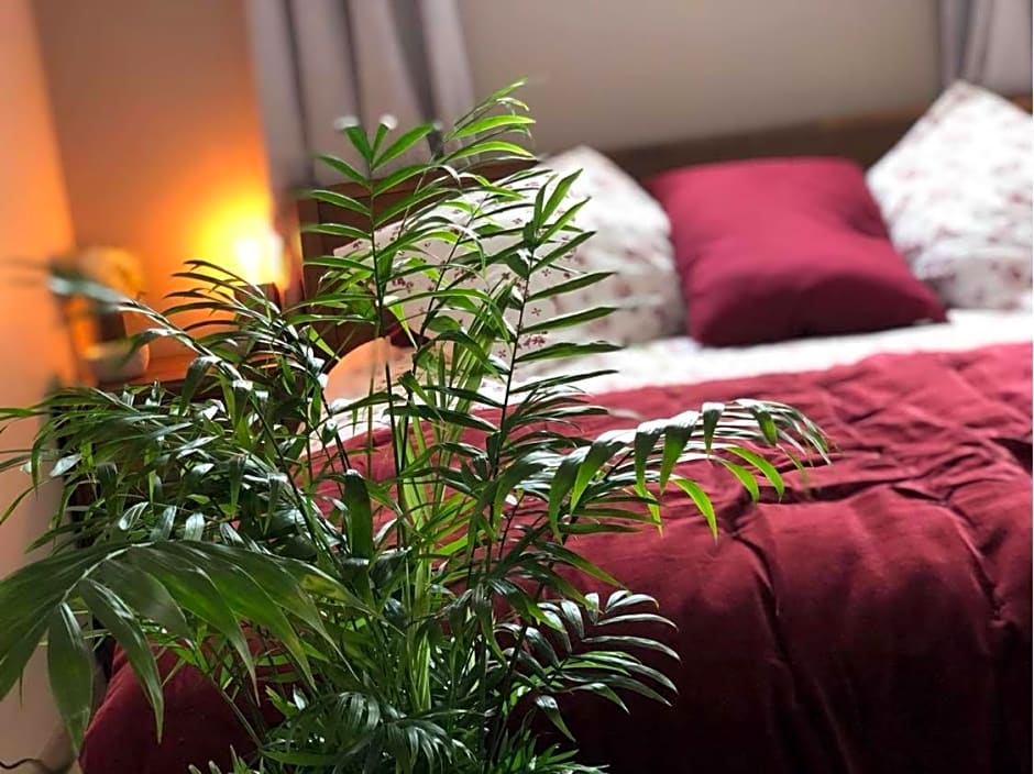 La suite des charmelines