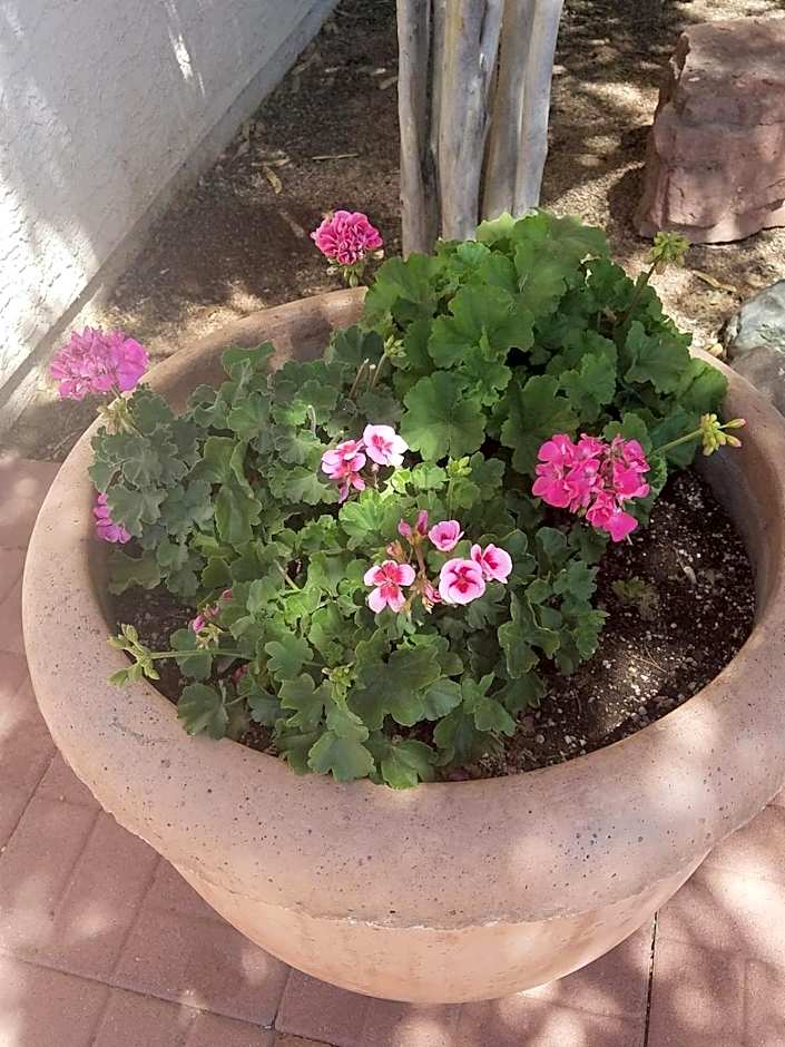 Days Inn by Wyndham Camp Verde Arizona