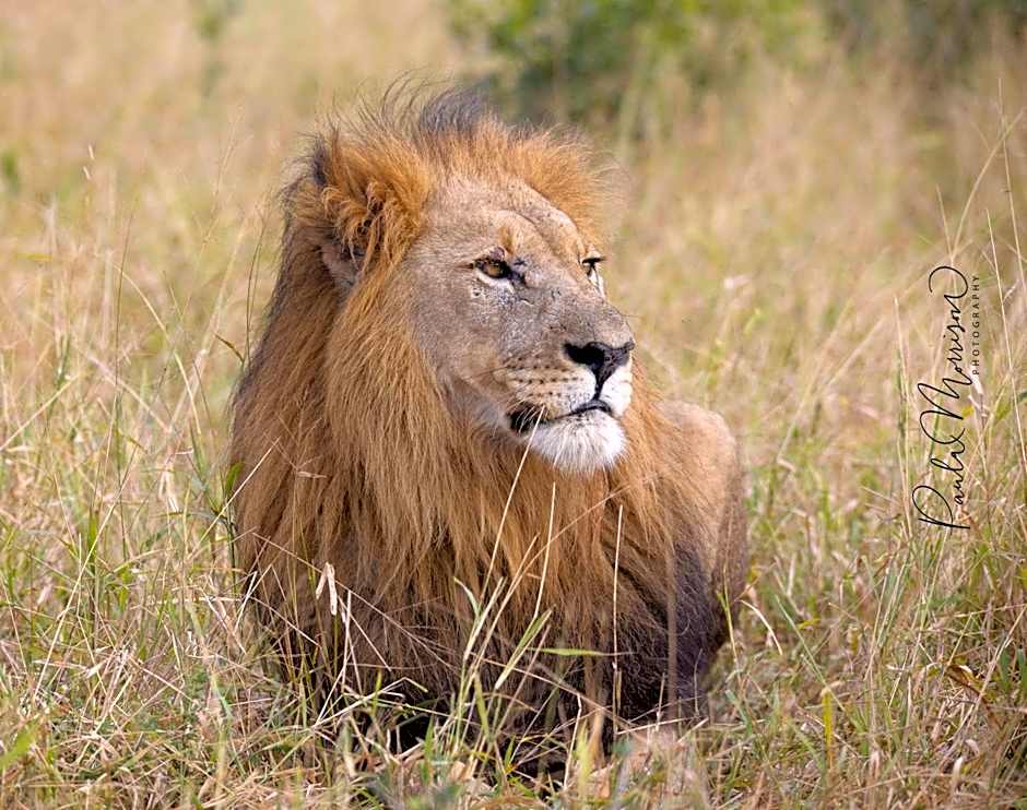 Sungulwane Private Game Lodge