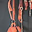 Erwachsenenhotel BDSM Apartment Hotel Emotion Apartments mit privater Sauna