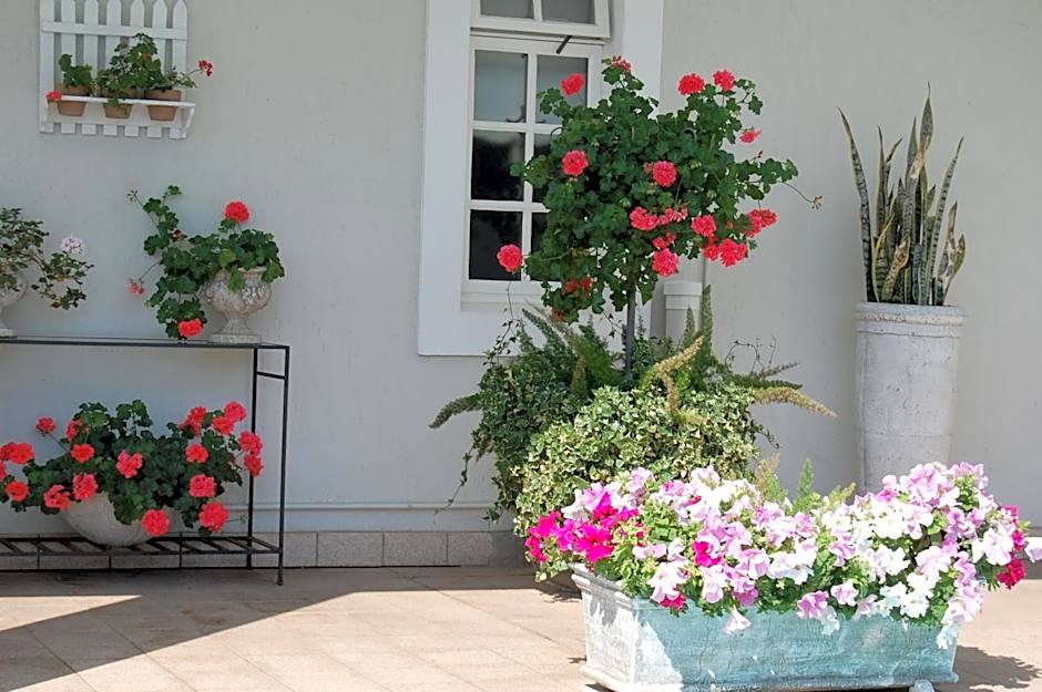 Sandals Guest House