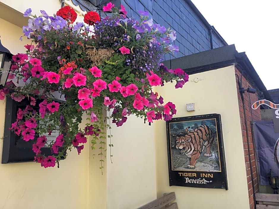 tiger inn