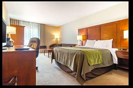 1 King Bed, Business Room, Suite, Nonsmoking, Upgrade