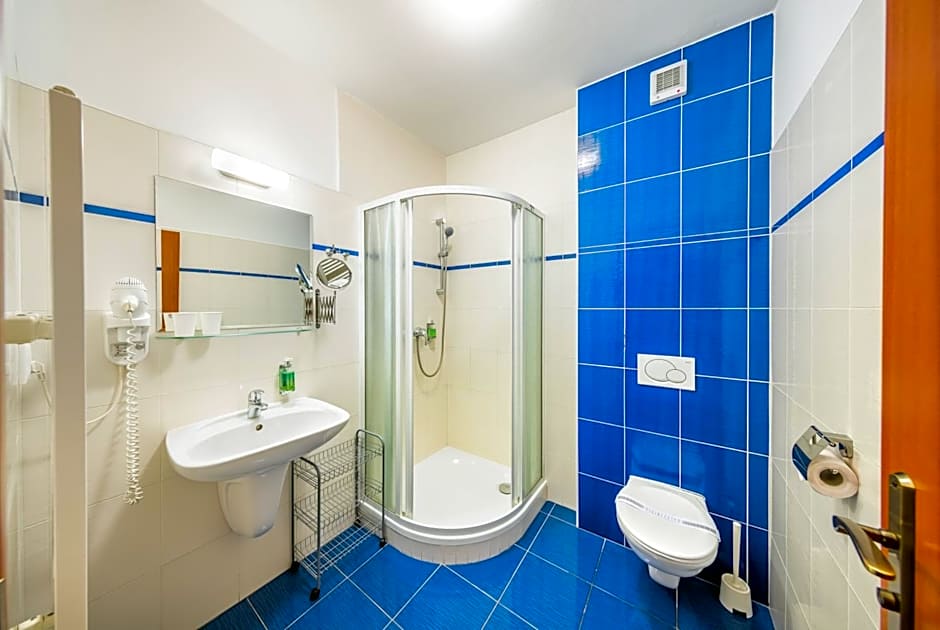 Záviš z Falkenštejna