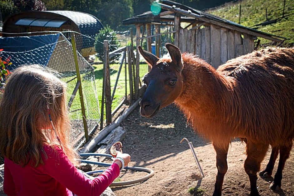Hotel Restaurant La Petite Auberge Alsace