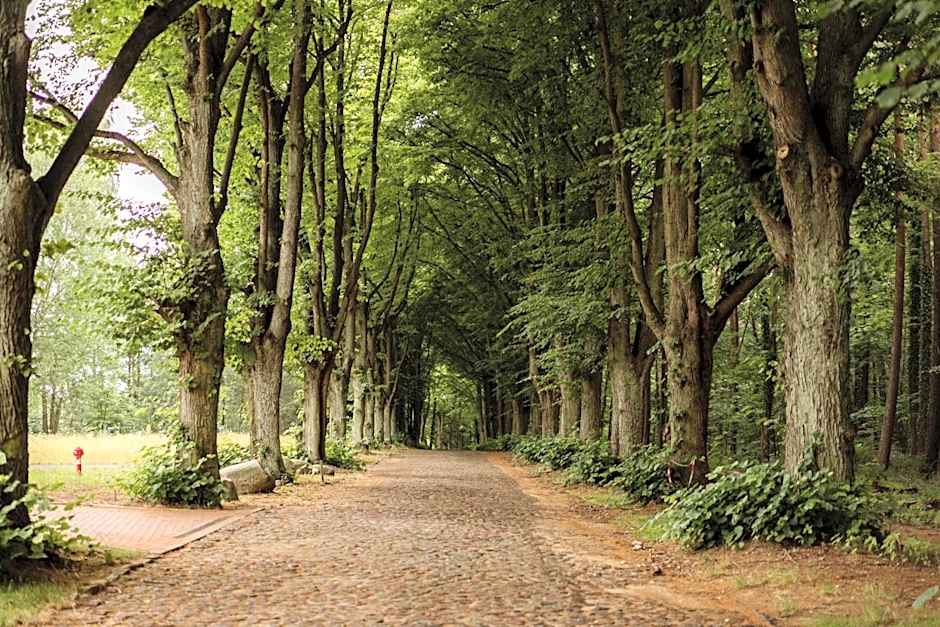 Dworek Bukowy Park