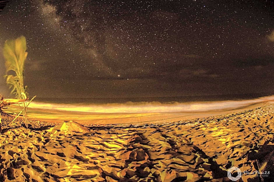 Hotel Boutique Punta Jamaica