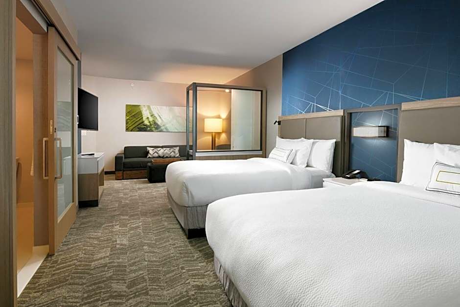 SpringHill Suites by Marriott Dallas DFW Airport South Centreport