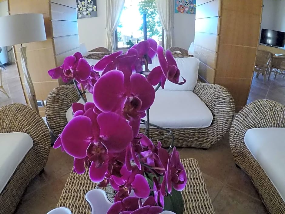 Hotel Villa Gustui Maris