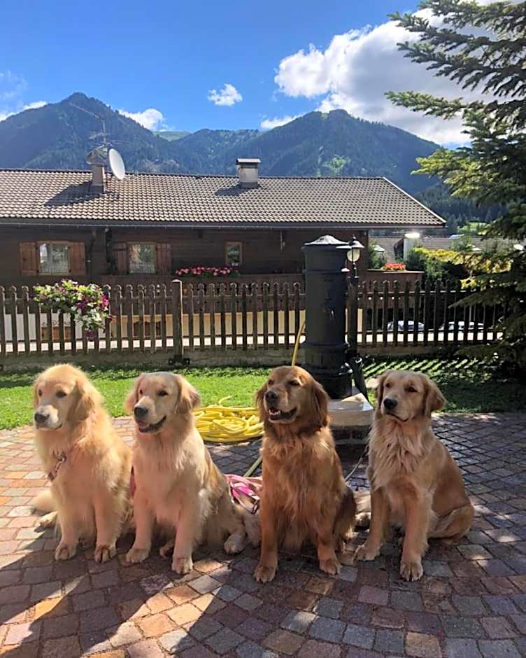Alpine Touring Hotel-petfriendly