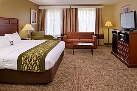 1 King Bed, Nonsmoking