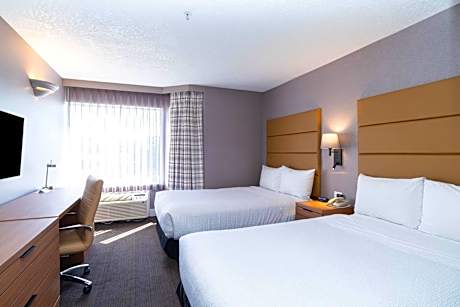 Standard Suite, 2 Double Beds, Sofa Bed, Kitchenette