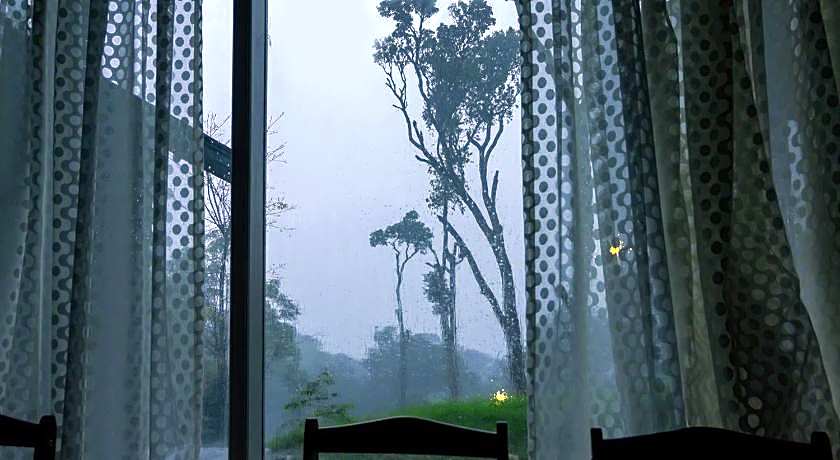 Neelakurunji Plantation Munnar